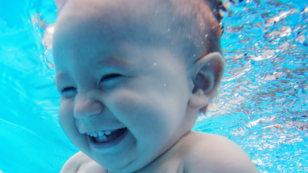 Everything you need to know about the fetal membranes, amniotic fluid and umbilical cord