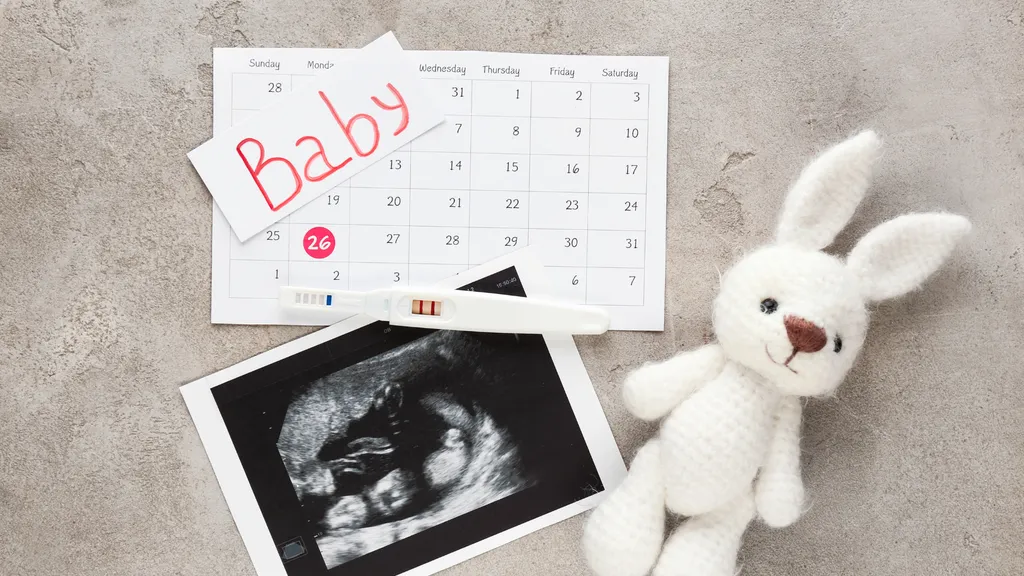 Gravid! Men hur räknar man egentligen?