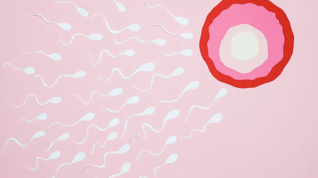 Qu'est-ce que la fertilité ?