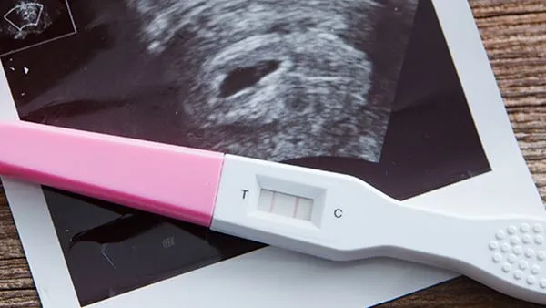 Тест на беременность показывает путь