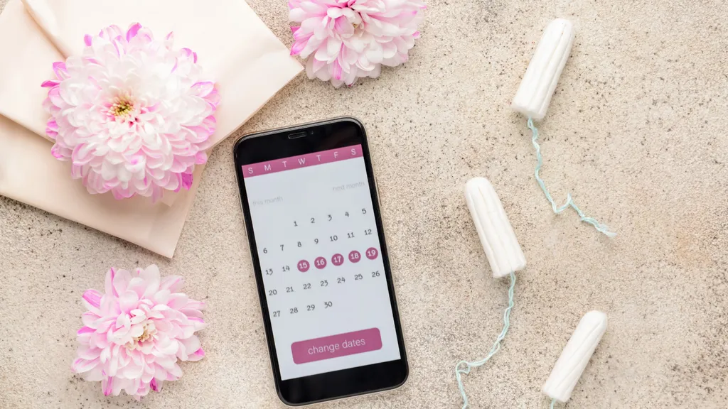 The Fertility Cycle: Everything You Need to Know to Understand Your Body