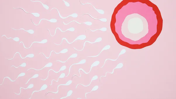 Wat is fertiliteit?